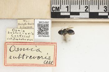 Media type: image;   Entomology 790649 Aspect: Labels